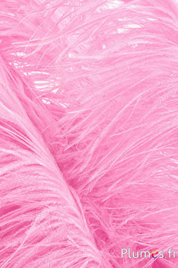 Struzzo premium - 50-60 cm - rosa 